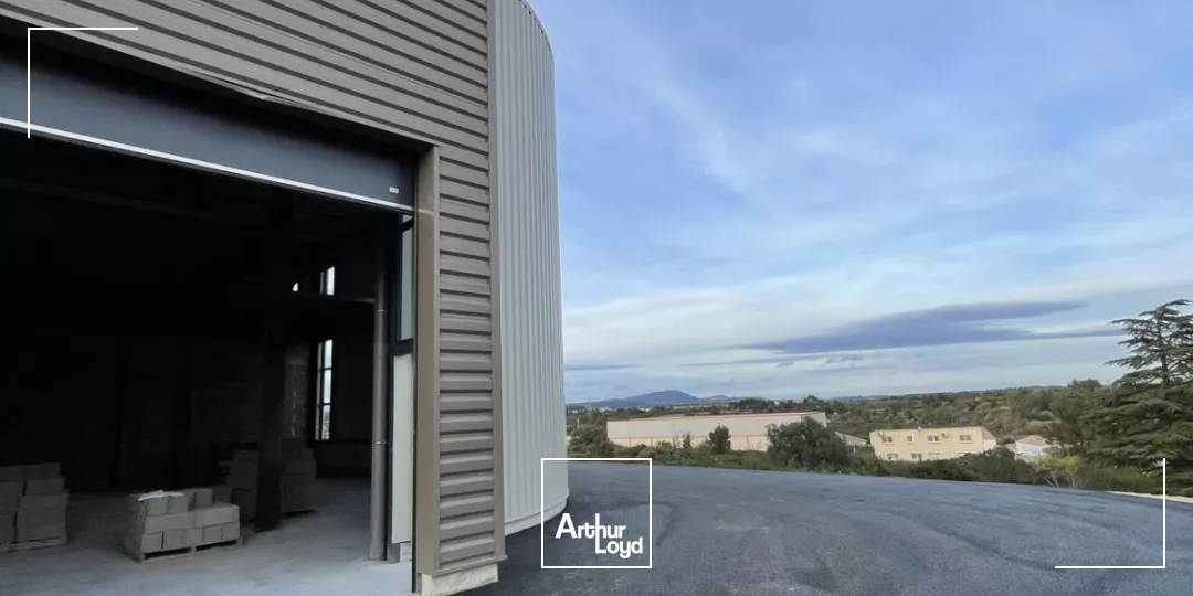 Local d'activité neufs à louer - Saint-Georges d'Orques