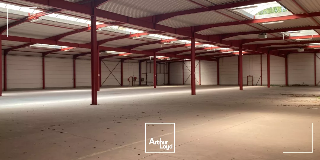 A vendre, A louer, Entrepôt avec quais, Halluin