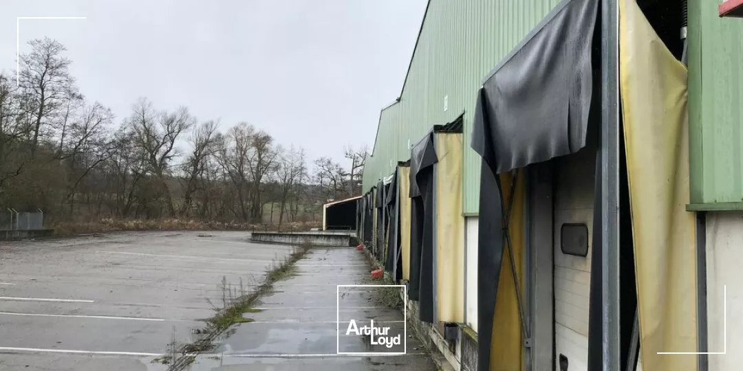 LOCAL D'ACTIVITE - ENTREPOT à LOUER de 4930 m²