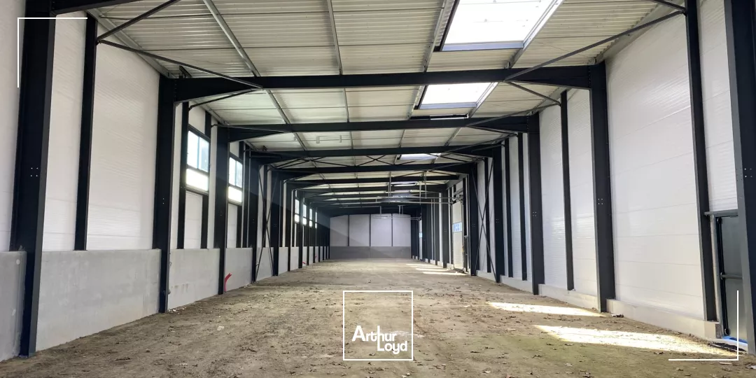 LOCATION ACTIVITES 960 M²- LANESTER 