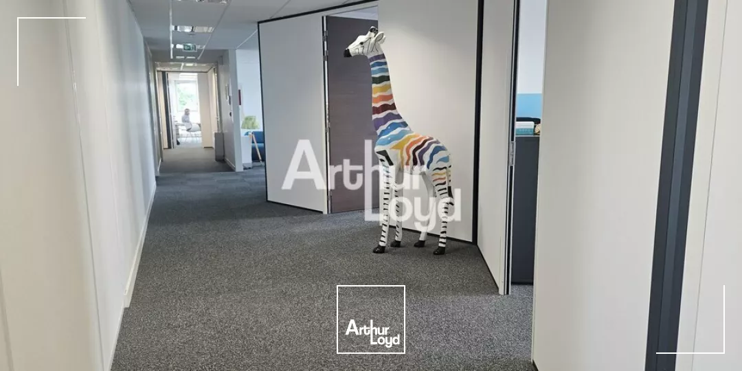 Angers Ouest plateau de bureaux aménagé de 386 m² à louer, division possible 