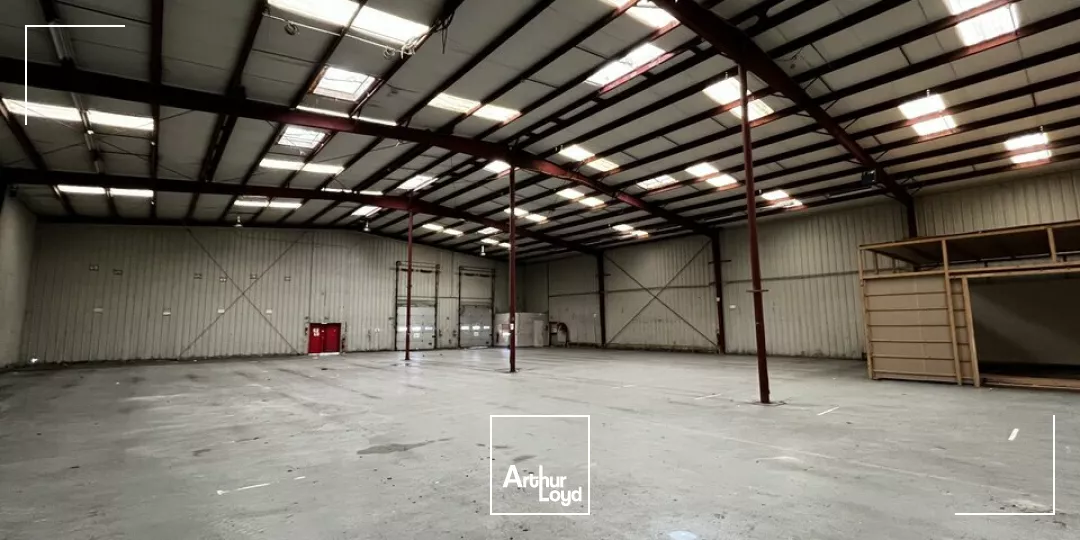 LOCAL D'ACTIVITE - ENTREPOT à LOUER de 7162 m²