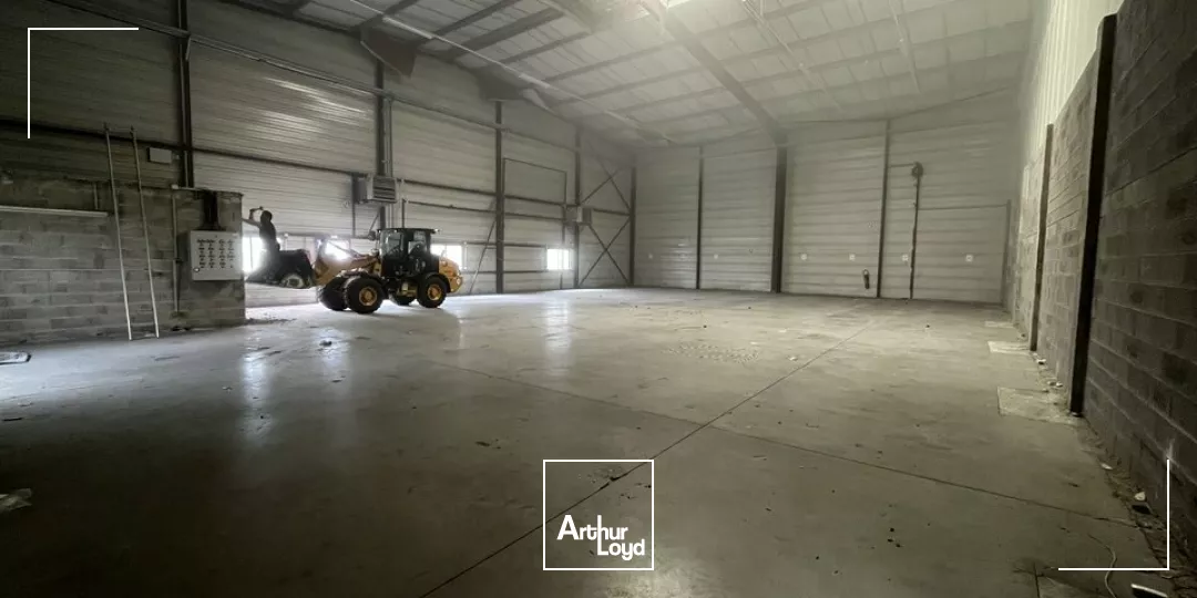 LOCAL D'ACTIVITE - ENTREPOT à LOUER de 7162 m²
