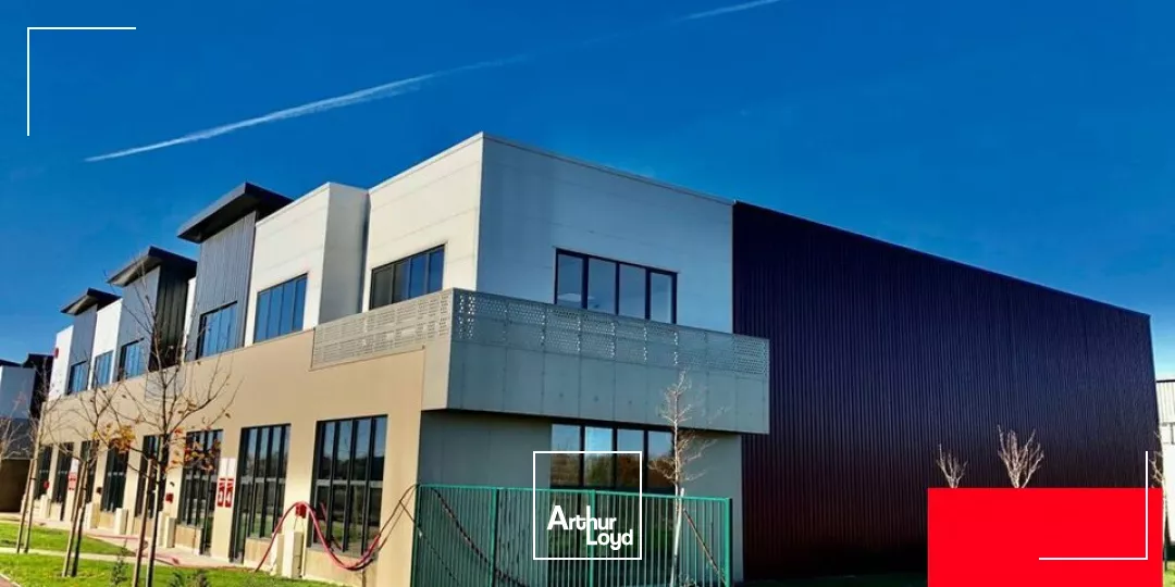 Zone en développement - neuf 