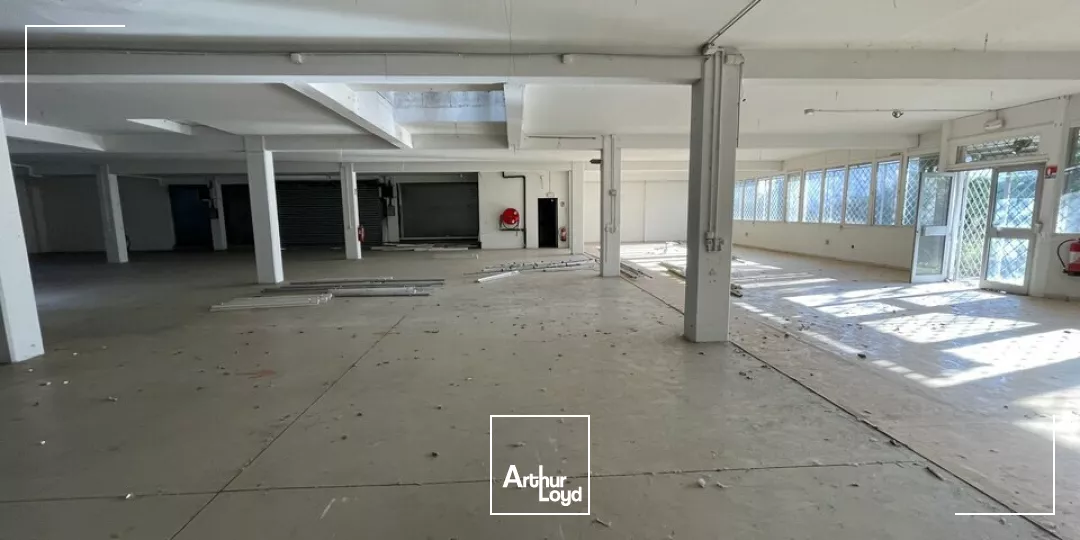 À Louer - Local d'activité - Zone d'Activité la Courtine, Avignon