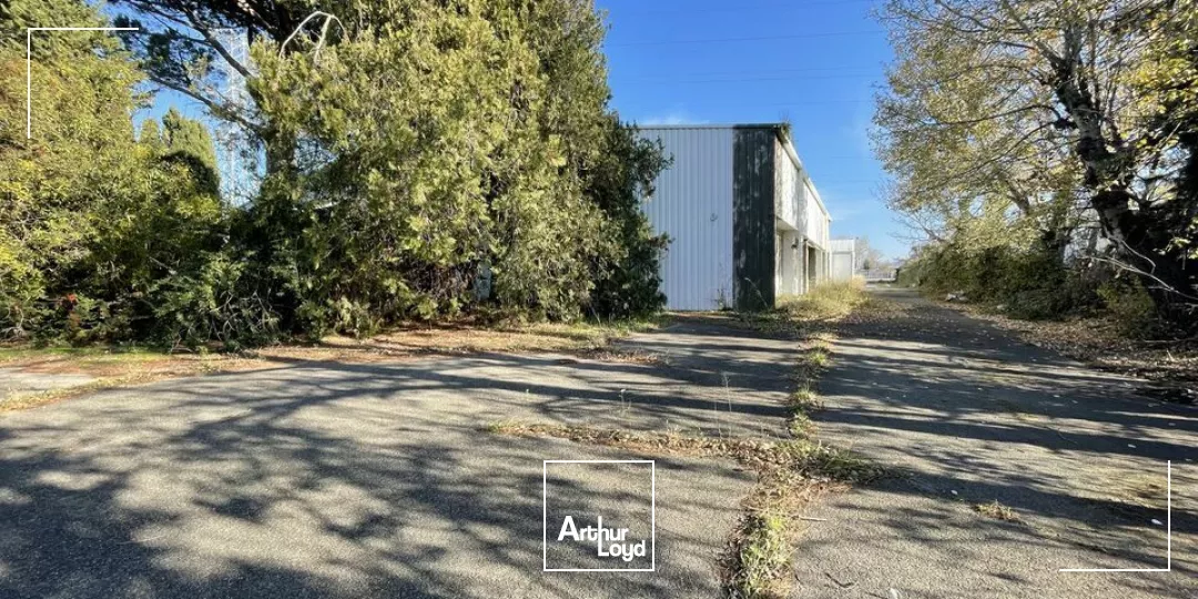 À Louer - Local d'activité - Zone d'Activité la Courtine, Avignon