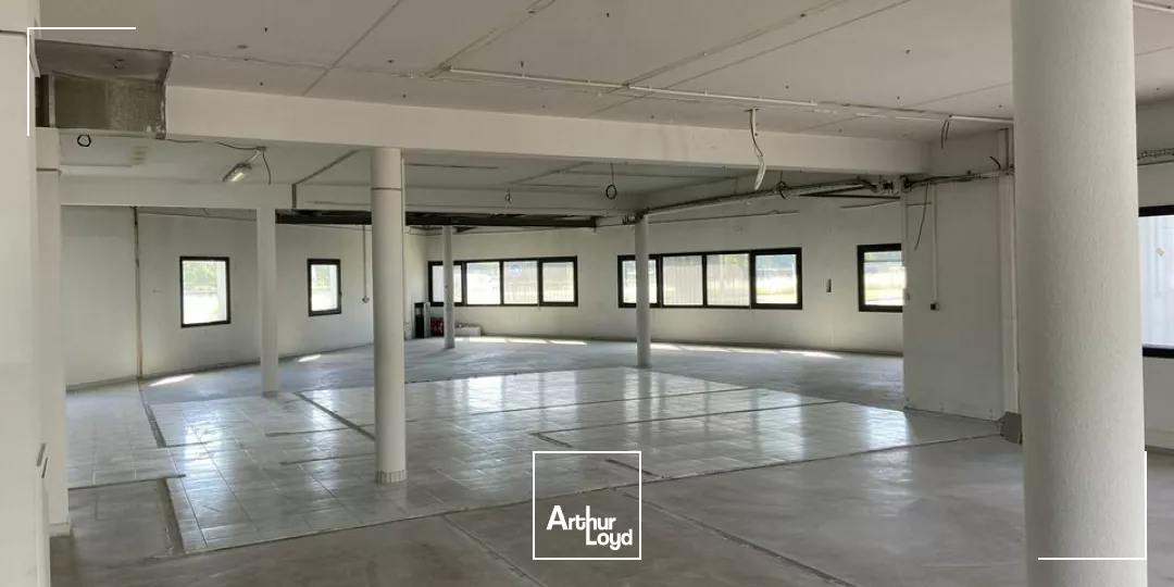 BUREAUX à LOUER de 236 m²