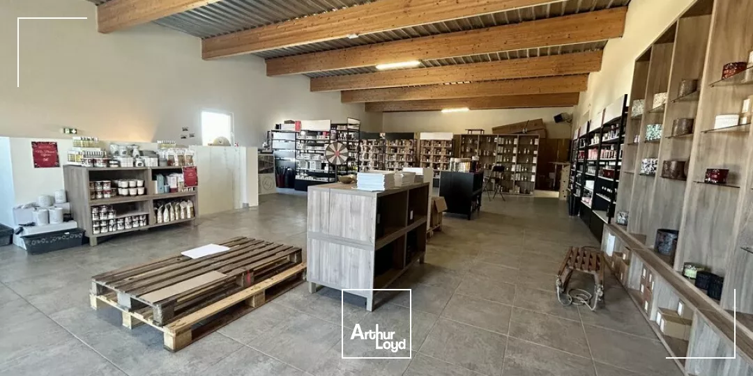 LOCAL D'ACTIVITE - ENTREPOT à VENDRE de 745 m²