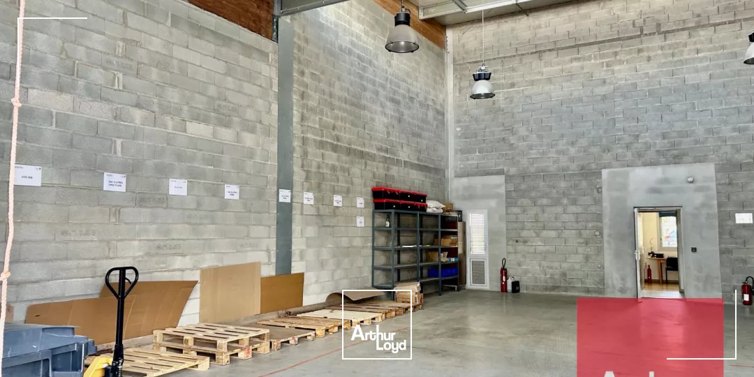 LOCAUX D'ACTIVITÉ À LOUER - CASTRIES