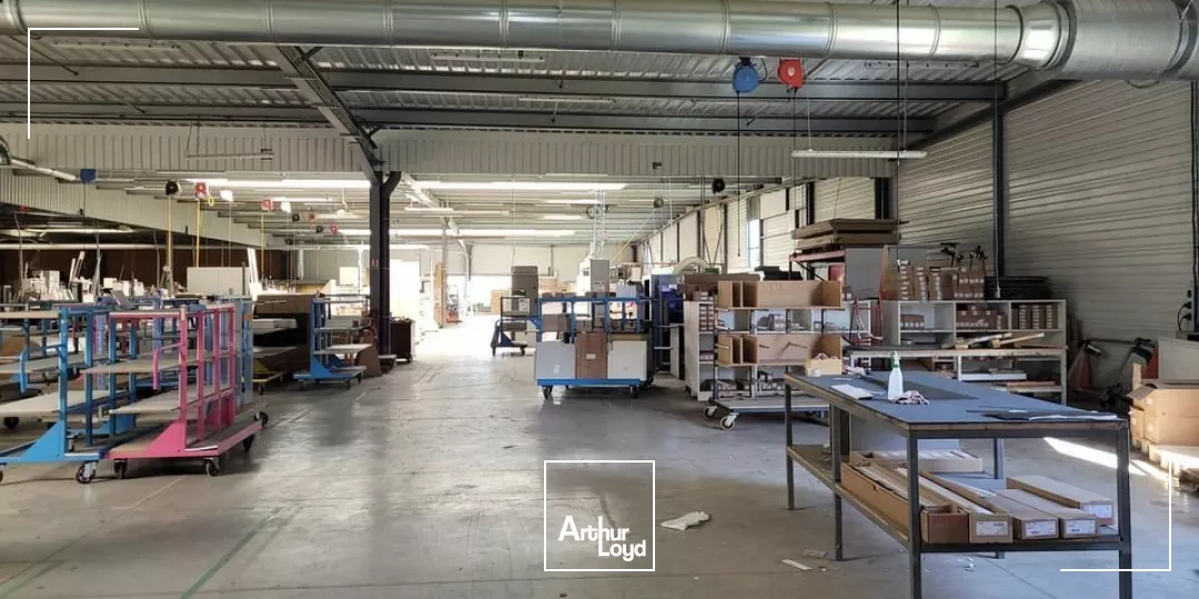 VENTE LOCAL ACTIVITE/INDUSTRIE 6117m² 