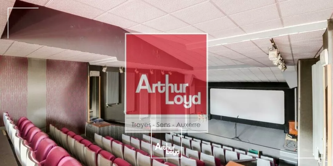 Auxerre, immeuble mixte commercial 400m2, idéal investisseur