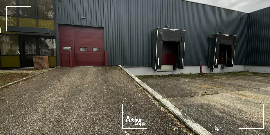 LOCAL D'ACTIVITE - ENTREPOT à LOUER de 1517 m²