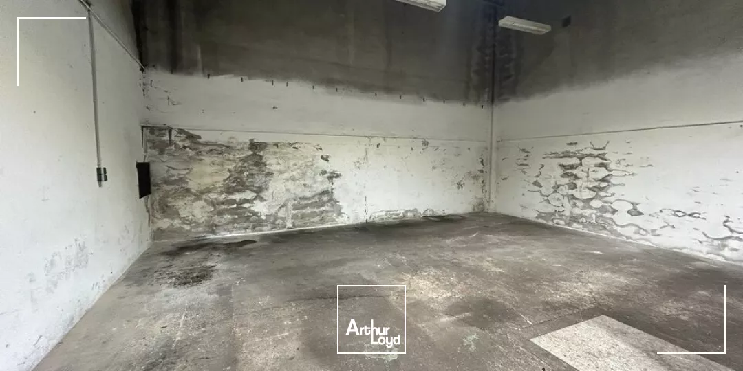 LOCAL D'ACTIVITE - ENTREPOT à VENDRE de 117 m²