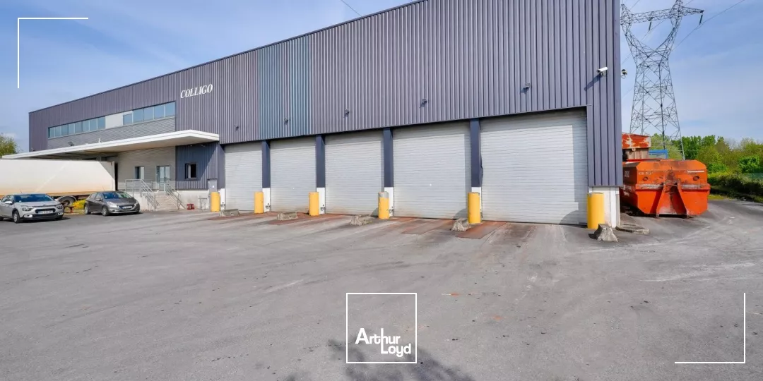 Locaux d'activités indépendants à quai de 3 669 m² à louer - Villeparisis, accès A1, RN104, RER B
