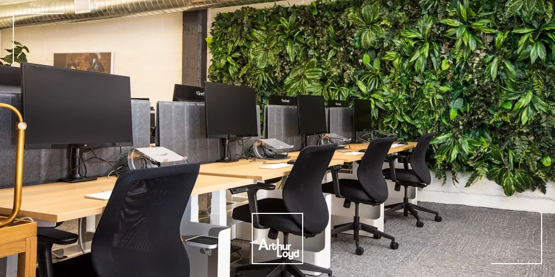 Bureaux Vendus occupés - Investissement - Béziers