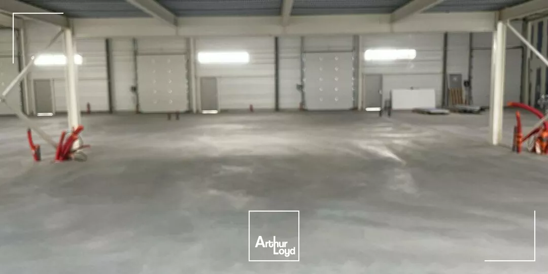 LOCAL D'ACTIVITE - ENTREPOT à LOUER de 258 m²