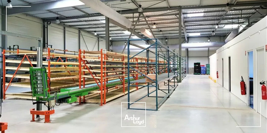 ZA GRAND POITIERS CHASSENEUIL - ENTREPÔT - LOCAL D'ACTIVITES A LOUER 1939m²