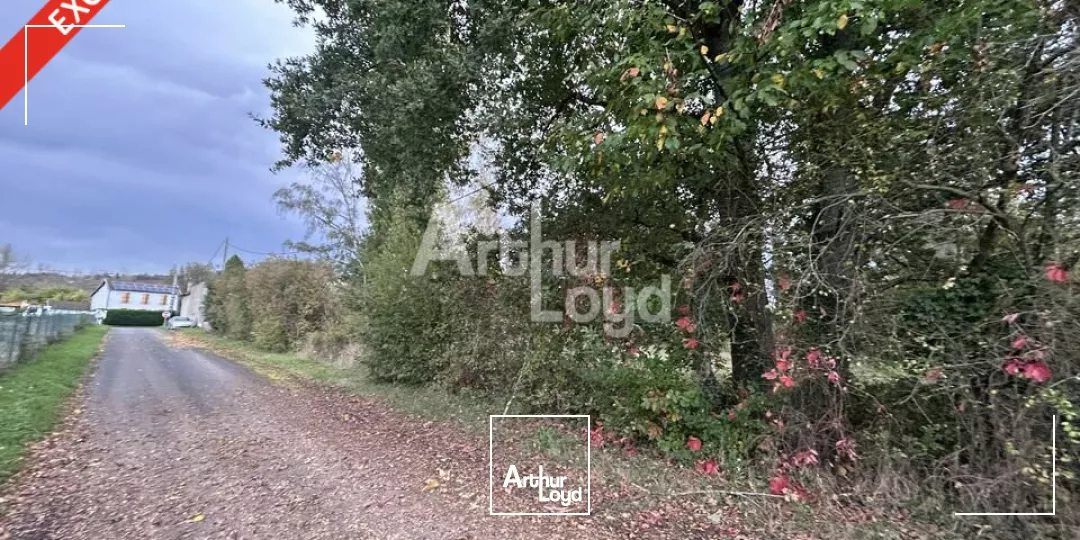 Rare, terrain plat de plus de 4900m2, constructible pour accueillir vos futurs locaux d'activité, aux portes de Vichy