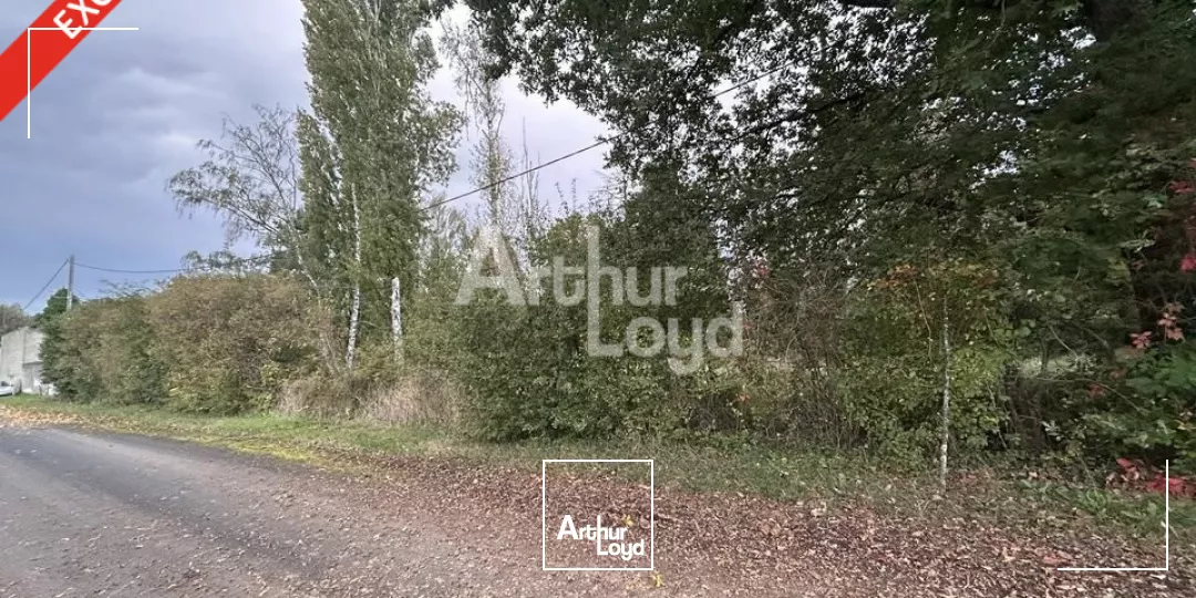 Rare, terrain plat de plus de 4900m2, constructible pour accueillir vos futurs locaux d'activité, aux portes de Vichy