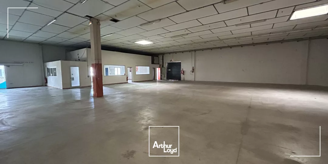 LOCAL D'ACTIVITE A LOUER - PERPIGNAN - 1240m2
