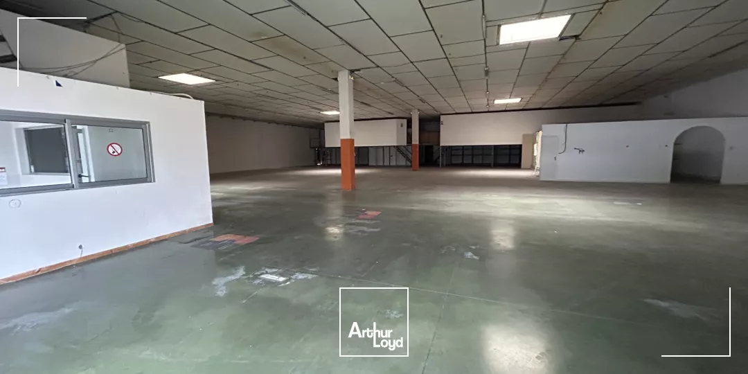 LOCAL D'ACTIVITE A LOUER - PERPIGNAN - 1240m2