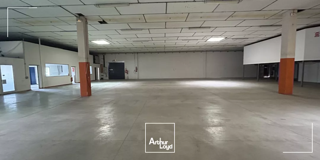 LOCAL D'ACTIVITE A LOUER - PERPIGNAN - 1240m2