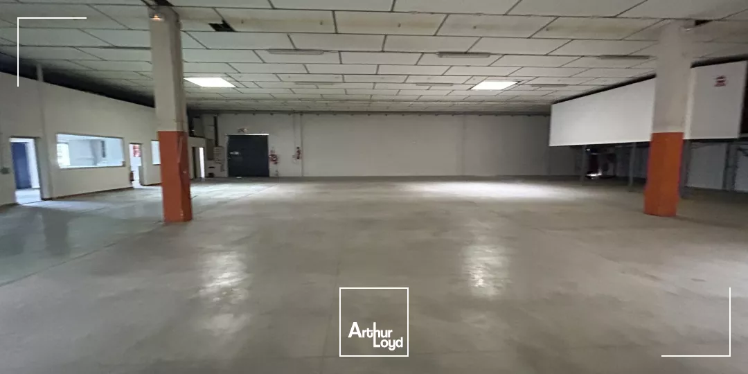 LOCAL D'ACTIVITE A LOUER - PERPIGNAN - 1240m2