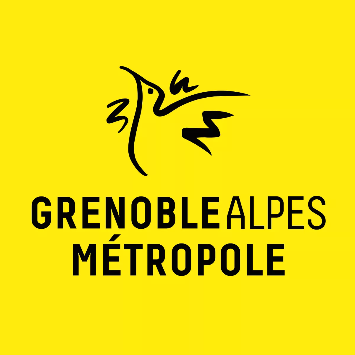 Logo GRENOBLE ALPES MÉTROPOLE
