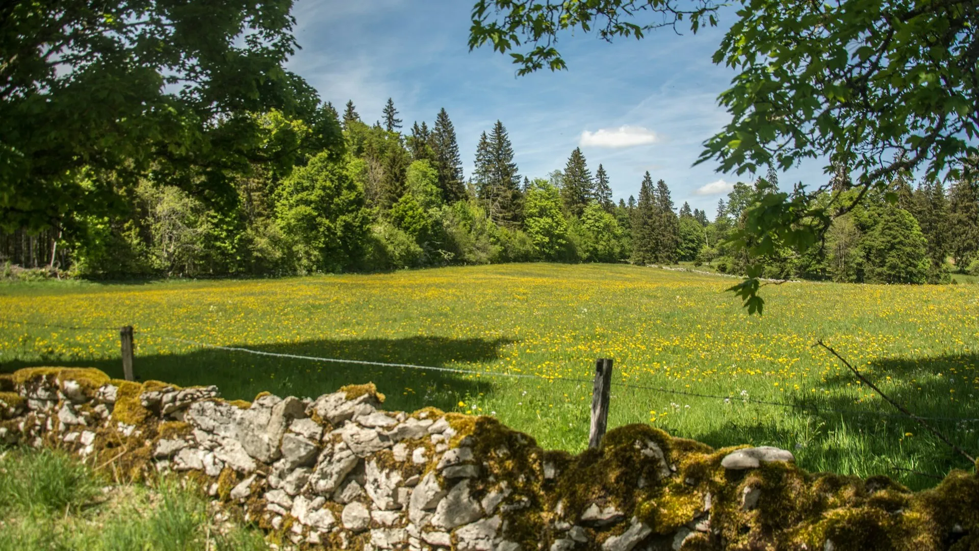 Louer un terrain nu