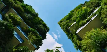 HQE Construction vs HQE Aménagement