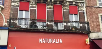 Naturalia Lille