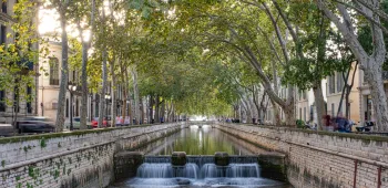 Redynamisation du centre-ville de Nîmes