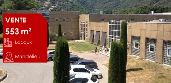 Mandelieu la Napoule Locaux d'activité Transaction