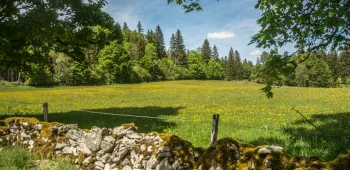 Louer un terrain nu