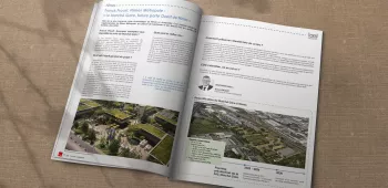 Nîmes Marché Gare - Article Œil