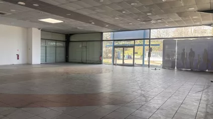 À LOUER - Local d'activités avec showroom et vitrine de 39 mL - Offre immobilière - Arthur Loyd