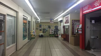 Locaux commerciaux à louer à Guingamp zone commerciale de Leader Price - Offre immobilière - Arthur Loyd