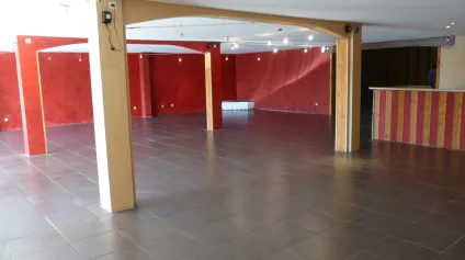 A LOUER LOCAL COMMERCIAL D'ENVIRON 550 M² - PROXIMITE ZONE COMMERCIALE DE LANGUEUX - Offre immobilière - Arthur Loyd