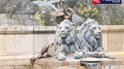 CESSION DROIT AU BAIL - Offre immobilière - Arthur Loyd