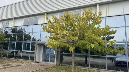 À LOUER : Bâtiment indépendant de 2 000 m² avec réserve foncière sur terrain de 5 000 m² à MANZIAT - Offre immobilière - Arthur Loyd