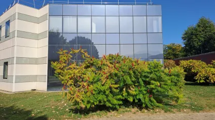 BUREAUX A LOUER PARC GALAXIE SUD ECHIROLLES DE 440M² SUR DEUX NIVEAUX - Offre immobilière - Arthur Loyd