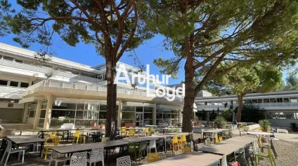Bureaux à louer divisibles dès 72 m² - Quartier des Templiers - Sophia Antipolis - Offre immobilière - Arthur Loyd