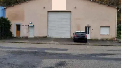 A LOUER - Local d'activités - THURINS - Offre immobilière - Arthur Loyd