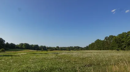 Terrains économiques à la vente, idéalement situés à Castelnaudary - Offre immobilière - Arthur Loyd