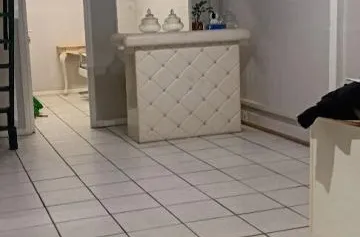 A LOUER Local professionnel 41 m2 - Rivière Roche à FDF - Offre immobilière - Arthur Loyd