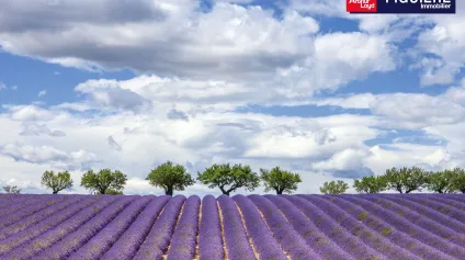 LOCAL COMMERCIAL CENTRE COMMERCIAL - Offre immobilière - Arthur Loyd