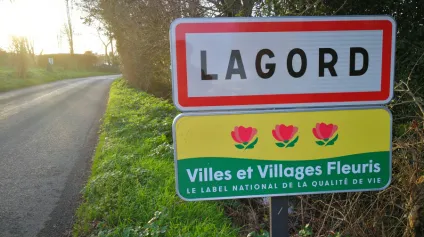 A louer Local commercial ou professionnel ZAC Lagord Greffiéres 171 m² - Offre immobilière - Arthur Loyd