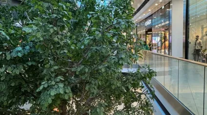 BAYONNE - Restaurant 180 m²  Forte visibilité & passage  Très bonne marge - Idéal couple - Offre immobilière - Arthur Loyd