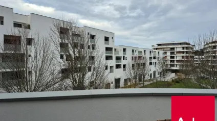 BIARRITZ - Bureaux à louer de 96 m2 - emplacement recherché et cadre professionnel de qualité. - Offre immobilière - Arthur Loyd