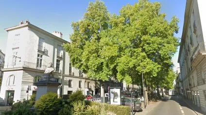 Local commercial à louer 40 m2 à Nantes centre - Offre immobilière - Arthur Loyd